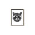 Picture of Raccoon Sketch _GroupedProduct_Rectangle_Portrait_Canvas_Framed_