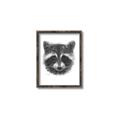 Picture of Raccoon Sketch _GroupedProduct_Rectangle_Portrait_Canvas_Framed_