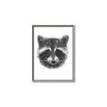 Picture of Raccoon Sketch _GroupedProduct_Rectangle_Portrait_Canvas_Framed_