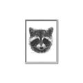 Picture of Raccoon Sketch _GroupedProduct_Rectangle_Portrait_Canvas_Framed_