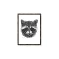 Picture of Raccoon Sketch _GroupedProduct_Rectangle_Portrait_Canvas_Framed_