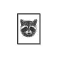 Picture of Raccoon Sketch _GroupedProduct_Rectangle_Portrait_Canvas_Framed_