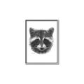 Picture of Raccoon Sketch _GroupedProduct_Rectangle_Portrait_Canvas_Framed_