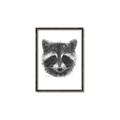 Picture of Raccoon Sketch _GroupedProduct_Rectangle_Portrait_Canvas_Framed_