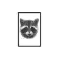 Picture of Raccoon Sketch _GroupedProduct_Rectangle_Portrait_Canvas_Framed_