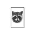 Picture of Raccoon Sketch _GroupedProduct_Rectangle_Portrait_Canvas_Framed_
