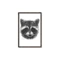 Picture of Raccoon Sketch _GroupedProduct_Rectangle_Portrait_Canvas_Framed_