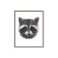 Picture of Raccoon Sketch _GroupedProduct_Rectangle_Portrait_Canvas_Framed_