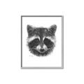 Picture of Raccoon Sketch _GroupedProduct_Rectangle_Portrait_Canvas_Framed_