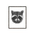 Picture of Raccoon Sketch _GroupedProduct_Rectangle_Portrait_Canvas_Framed_