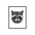 Picture of Raccoon Sketch _GroupedProduct_Rectangle_Portrait_Canvas_Framed_