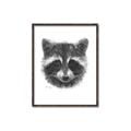 Picture of Raccoon Sketch _GroupedProduct_Rectangle_Portrait_Canvas_Framed_