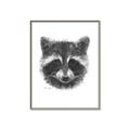 Picture of Raccoon Sketch _GroupedProduct_Rectangle_Portrait_Canvas_Framed_
