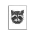 Picture of Raccoon Sketch _GroupedProduct_Rectangle_Portrait_Canvas_Framed_