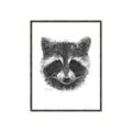 Picture of Raccoon Sketch _GroupedProduct_Rectangle_Portrait_Canvas_Framed_
