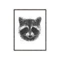 Picture of Raccoon Sketch _GroupedProduct_Rectangle_Portrait_Canvas_Framed_