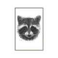 Picture of Raccoon Sketch _GroupedProduct_Rectangle_Portrait_Canvas_Framed_