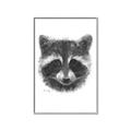 Picture of Raccoon Sketch _GroupedProduct_Rectangle_Portrait_Canvas_Framed_