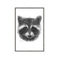 Picture of Raccoon Sketch _GroupedProduct_Rectangle_Portrait_Canvas_Framed_