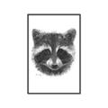 Picture of Raccoon Sketch _GroupedProduct_Rectangle_Portrait_Canvas_Framed_