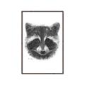 Picture of Raccoon Sketch _GroupedProduct_Rectangle_Portrait_Canvas_Framed_