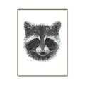 Picture of Raccoon Sketch _GroupedProduct_Rectangle_Portrait_Canvas_Framed_