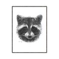 Picture of Raccoon Sketch _GroupedProduct_Rectangle_Portrait_Canvas_Framed_