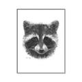 Picture of Raccoon Sketch _GroupedProduct_Rectangle_Portrait_Canvas_Framed_