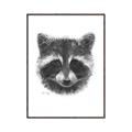 Picture of Raccoon Sketch _GroupedProduct_Rectangle_Portrait_Canvas_Framed_