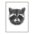 Picture of Raccoon Sketch _GroupedProduct_Rectangle_Portrait_Canvas_Framed_