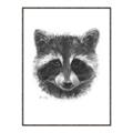 Picture of Raccoon Sketch _GroupedProduct_Rectangle_Portrait_Canvas_Framed_