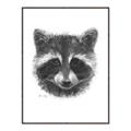 Picture of Raccoon Sketch _GroupedProduct_Rectangle_Portrait_Canvas_Framed_