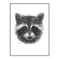 Picture of Raccoon Sketch _GroupedProduct_Rectangle_Portrait_Canvas_Framed_