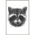Picture of Raccoon Sketch _GroupedProduct_Rectangle_Portrait_Canvas_Framed_