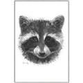 Picture of Raccoon Sketch _GroupedProduct_Rectangle_Portrait_Canvas_Framed_