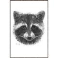 Picture of Raccoon Sketch _GroupedProduct_Rectangle_Portrait_Canvas_Framed_