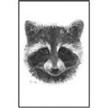 Picture of Raccoon Sketch _GroupedProduct_Rectangle_Portrait_Canvas_Framed_