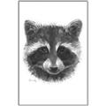 Picture of Raccoon Sketch _GroupedProduct_Rectangle_Portrait_Canvas_Framed_