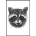Picture of Raccoon Sketch _GroupedProduct_Rectangle_Portrait_Canvas_Framed_