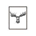 Picture of Moose Sketch _GroupedProduct_Rectangle_Portrait_Canvas_Framed_