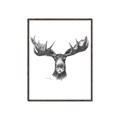 Picture of Moose Sketch _GroupedProduct_Rectangle_Portrait_Canvas_Framed_