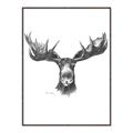 Picture of Moose Sketch _GroupedProduct_Rectangle_Portrait_Canvas_Framed_