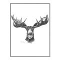 Picture of Moose Sketch _GroupedProduct_Rectangle_Portrait_Canvas_Framed_