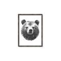 Picture of Bear Sketch _GroupedProduct_Rectangle_Portrait_Canvas_Framed_
