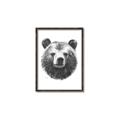 Picture of Bear Sketch _GroupedProduct_Rectangle_Portrait_Canvas_Framed_