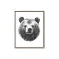 Picture of Bear Sketch _GroupedProduct_Rectangle_Portrait_Canvas_Framed_
