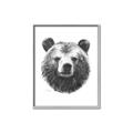 Picture of Bear Sketch _GroupedProduct_Rectangle_Portrait_Canvas_Framed_