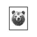 Picture of Bear Sketch _GroupedProduct_Rectangle_Portrait_Canvas_Framed_