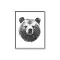 Picture of Bear Sketch _GroupedProduct_Rectangle_Portrait_Canvas_Framed_