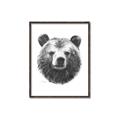 Picture of Bear Sketch _GroupedProduct_Rectangle_Portrait_Canvas_Framed_